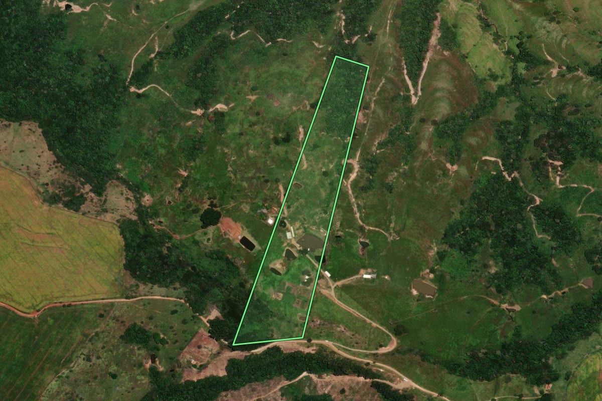 Imagem de satélite do imóvel rural em Rosário do Ivaí (PR), com o contorno declarado no CAR desenhado por cima.