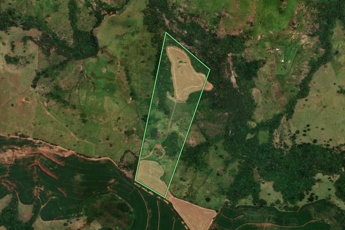 Imagem de satélite do imóvel rural em Rosário do Ivaí (PR), com o contorno declarado no CAR desenhado por cima.