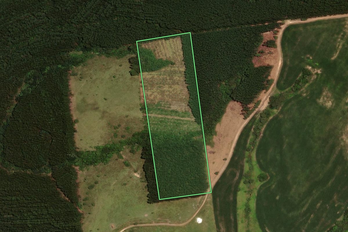 Imagem de satélite do imóvel rural em Rosário do Ivaí (PR), com o contorno declarado no CAR desenhado por cima.