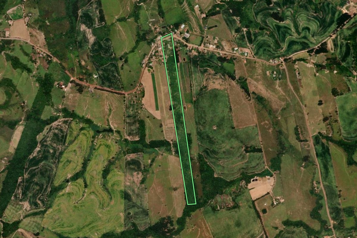 Imagem de satélite do imóvel rural em Rosário do Ivaí (PR), com o contorno declarado no CAR desenhado por cima.