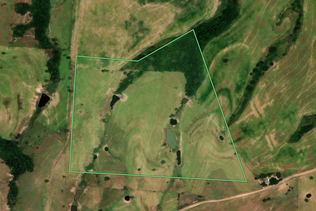 Imagem de satélite do imóvel rural em Rosário do Ivaí (PR), com o contorno declarado no CAR desenhado por cima.