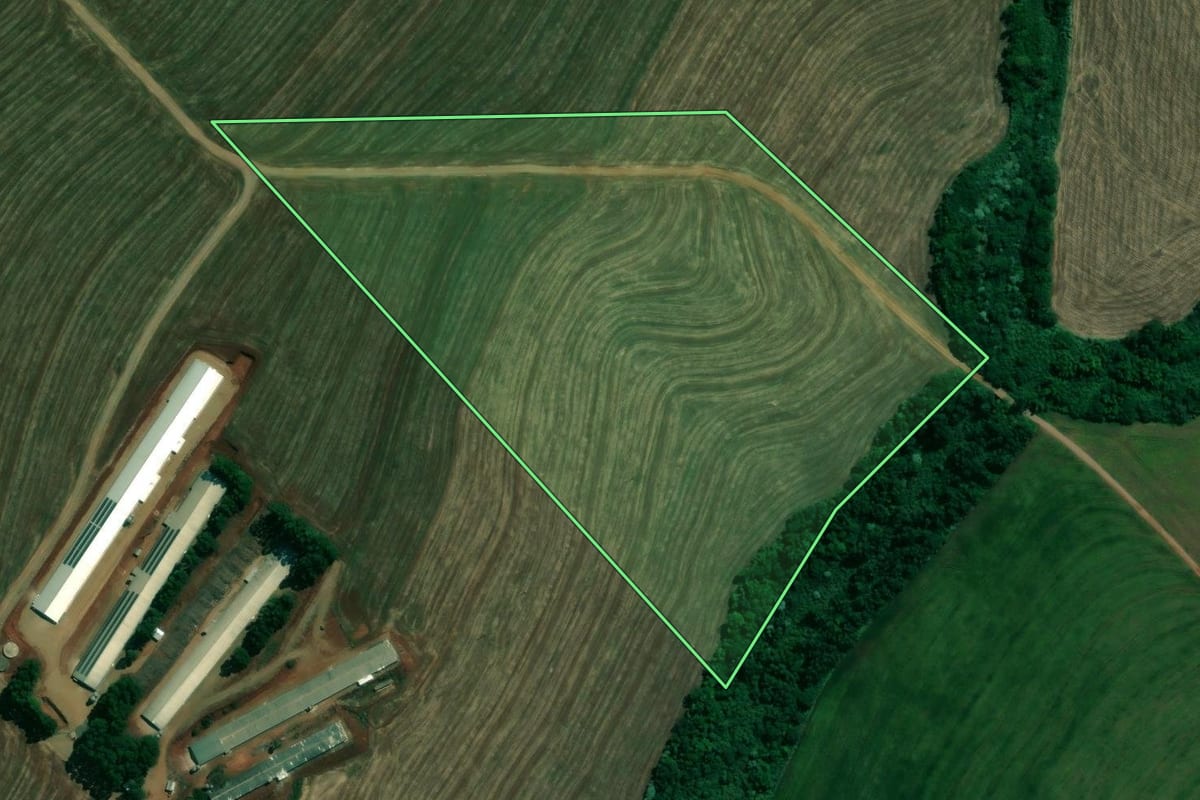 Imagem de satélite do imóvel rural em Sabáudia (PR), com o contorno declarado no CAR desenhado por cima.