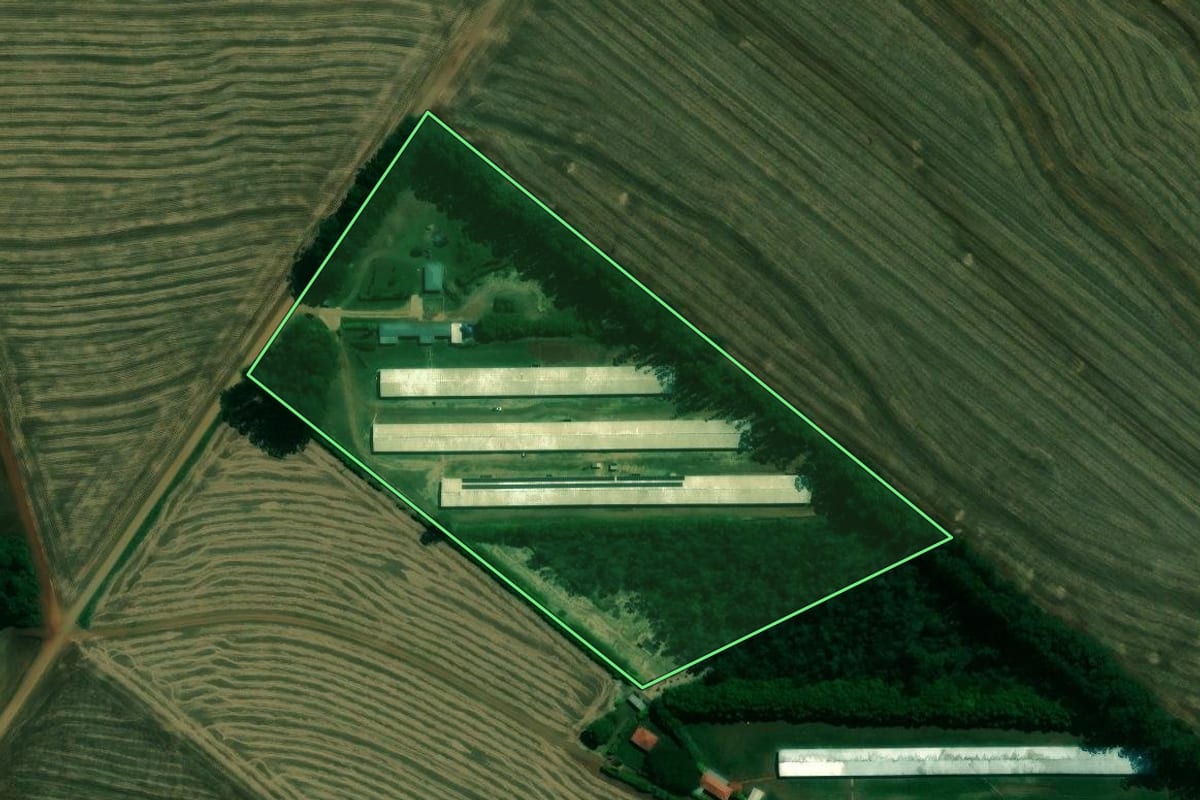 Imagem de satélite do imóvel rural em Sabáudia (PR), com o contorno declarado no CAR desenhado por cima.
