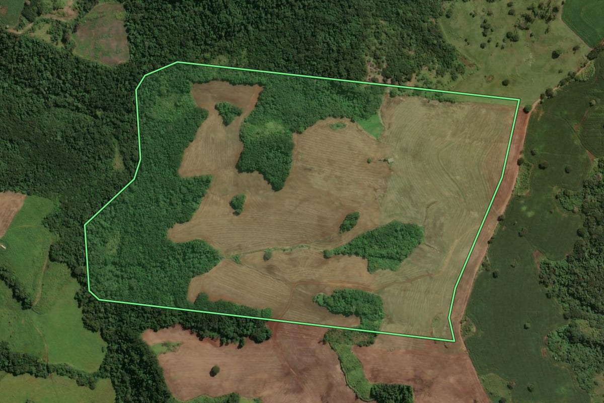 Imagem de satélite do imóvel rural em Sabáudia (PR), com o contorno declarado no CAR desenhado por cima.