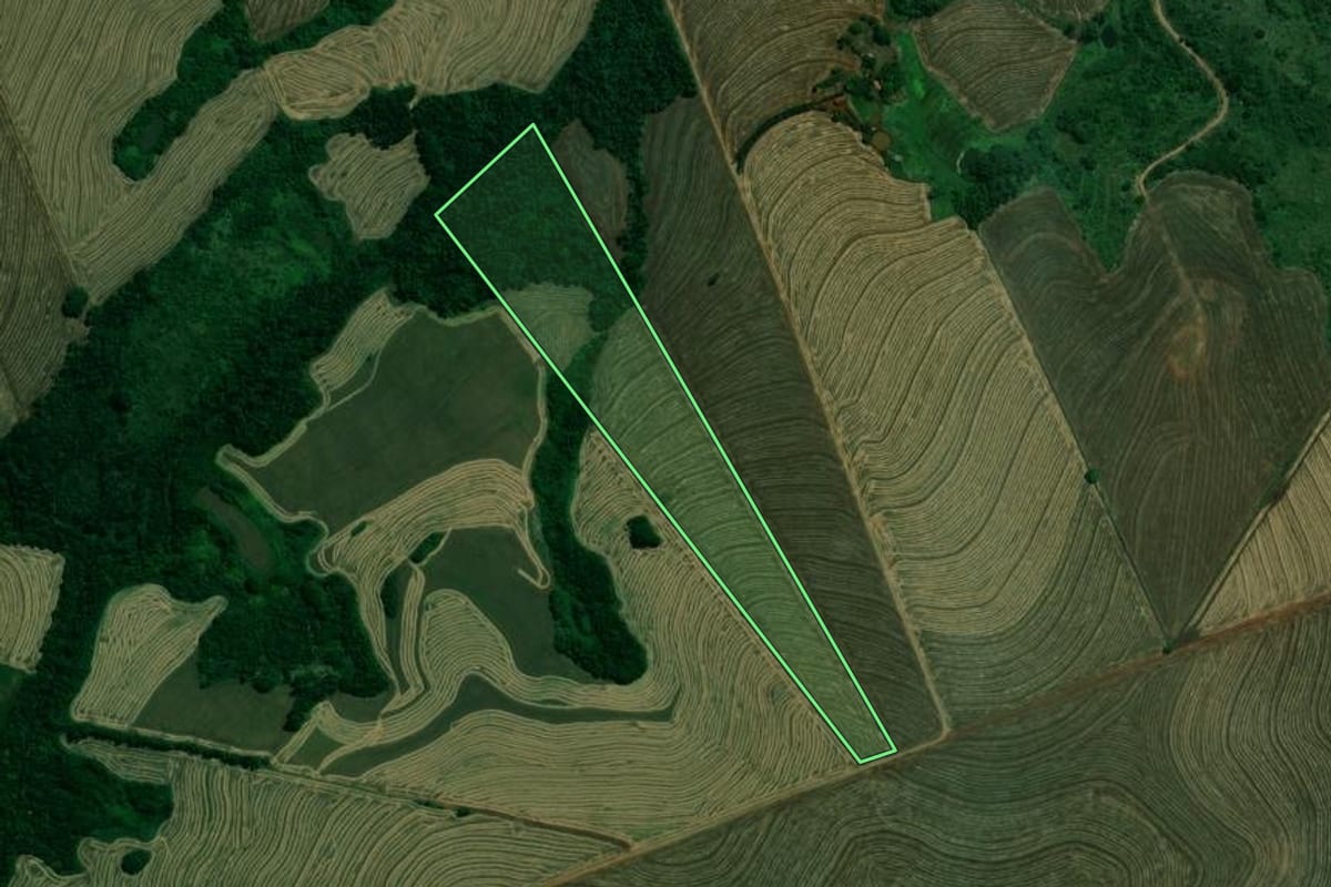 Imagem de satélite do imóvel rural em Sabáudia (PR), com o contorno declarado no CAR desenhado por cima.