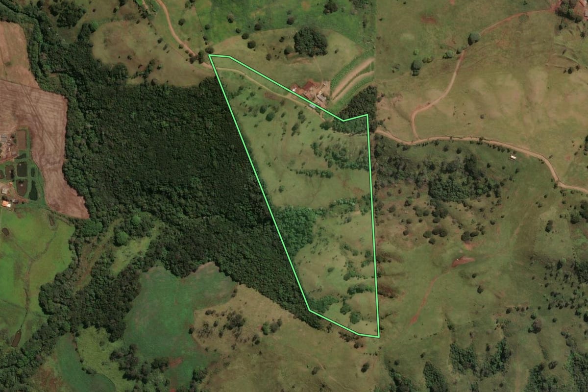 Imagem de satélite do imóvel rural em Sabáudia (PR), com o contorno declarado no CAR desenhado por cima.