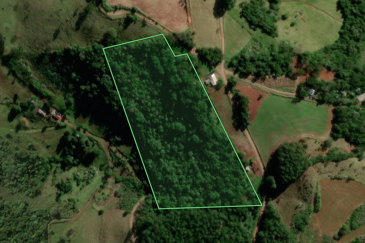 Imagem de satélite do imóvel rural em Salgado Filho (PR), com o contorno declarado no CAR desenhado por cima.