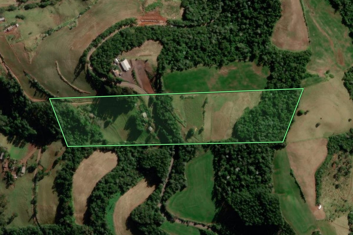 Imagem de satélite do imóvel rural em Salgado Filho (PR), com o contorno declarado no CAR desenhado por cima.