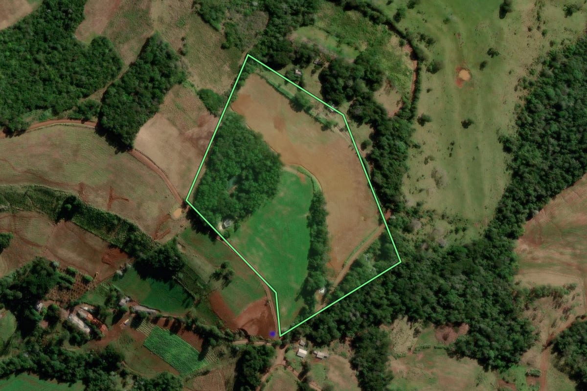 Imagem de satélite do imóvel rural em Salgado Filho (PR), com o contorno declarado no CAR desenhado por cima.