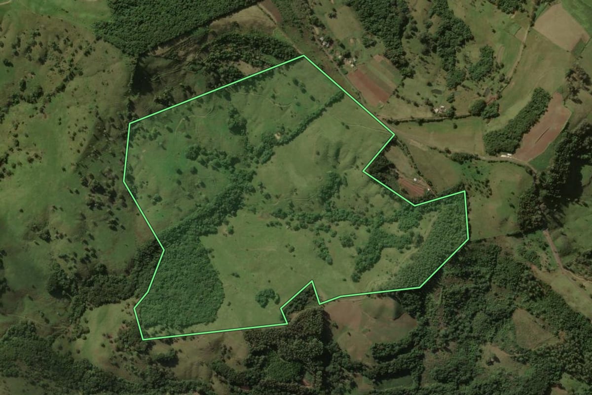 Imagem de satélite do imóvel rural em Salgado Filho (PR), com o contorno declarado no CAR desenhado por cima.