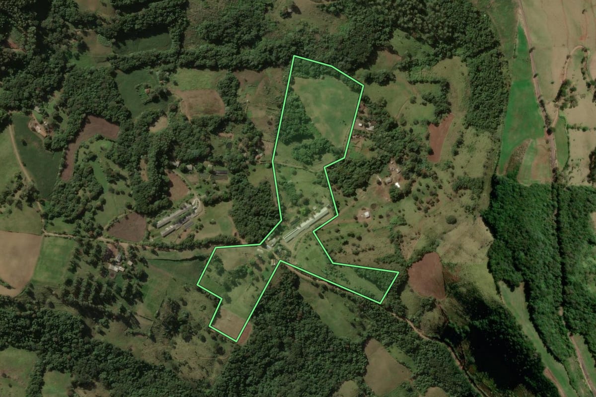 Imagem de satélite do imóvel rural em Salgado Filho (PR), com o contorno declarado no CAR desenhado por cima.