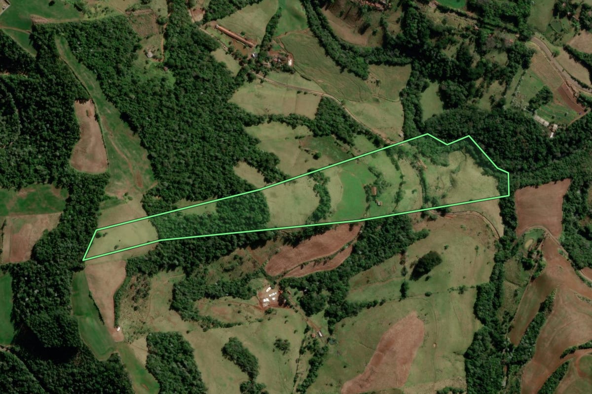 Imagem de satélite do imóvel rural em Salgado Filho (PR), com o contorno declarado no CAR desenhado por cima.