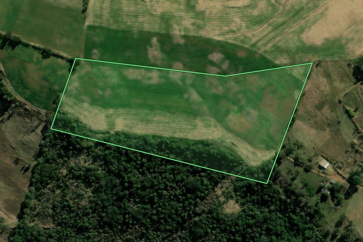Imagem de satélite do imóvel rural em Salgado Filho (PR), com o contorno declarado no CAR desenhado por cima.