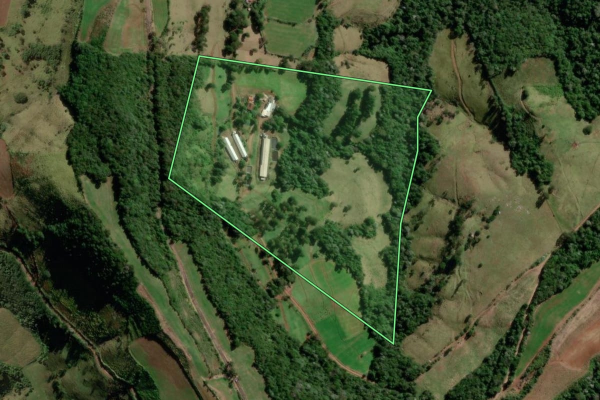 Imagem de satélite do imóvel rural em Salgado Filho (PR), com o contorno declarado no CAR desenhado por cima.