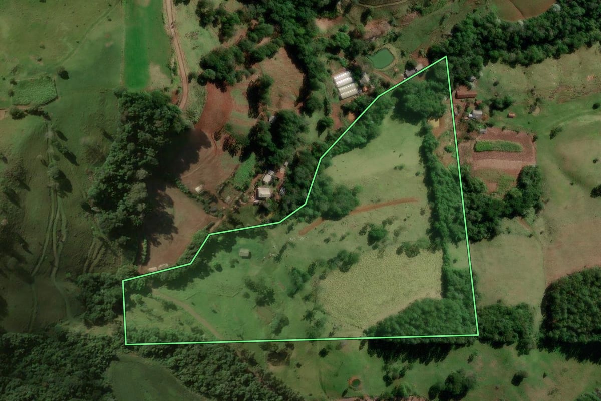 Imagem de satélite do imóvel rural em Salgado Filho (PR), com o contorno declarado no CAR desenhado por cima.