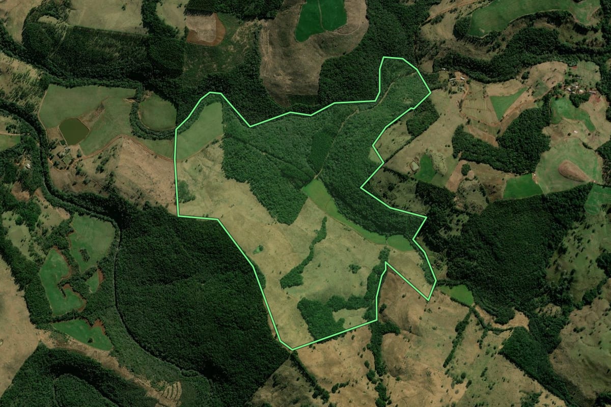 Imagem de satélite do imóvel rural em Salgado Filho (PR), com o contorno declarado no CAR desenhado por cima.
