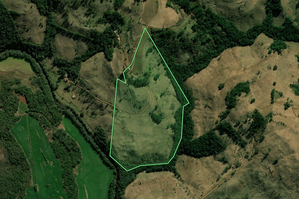 Imagem de satélite do imóvel rural em Salgado Filho (PR), com o contorno declarado no CAR desenhado por cima.