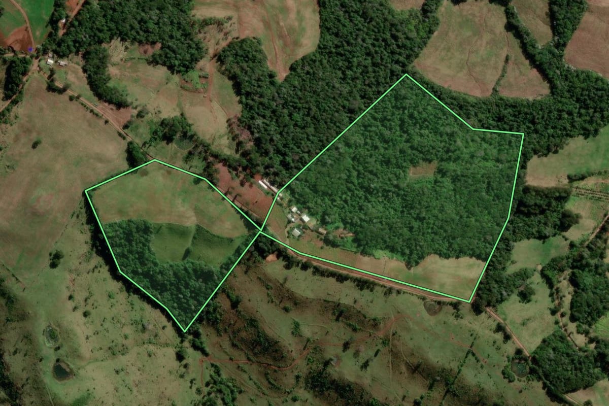 Imagem de satélite do imóvel rural em Salgado Filho (PR), com o contorno declarado no CAR desenhado por cima.