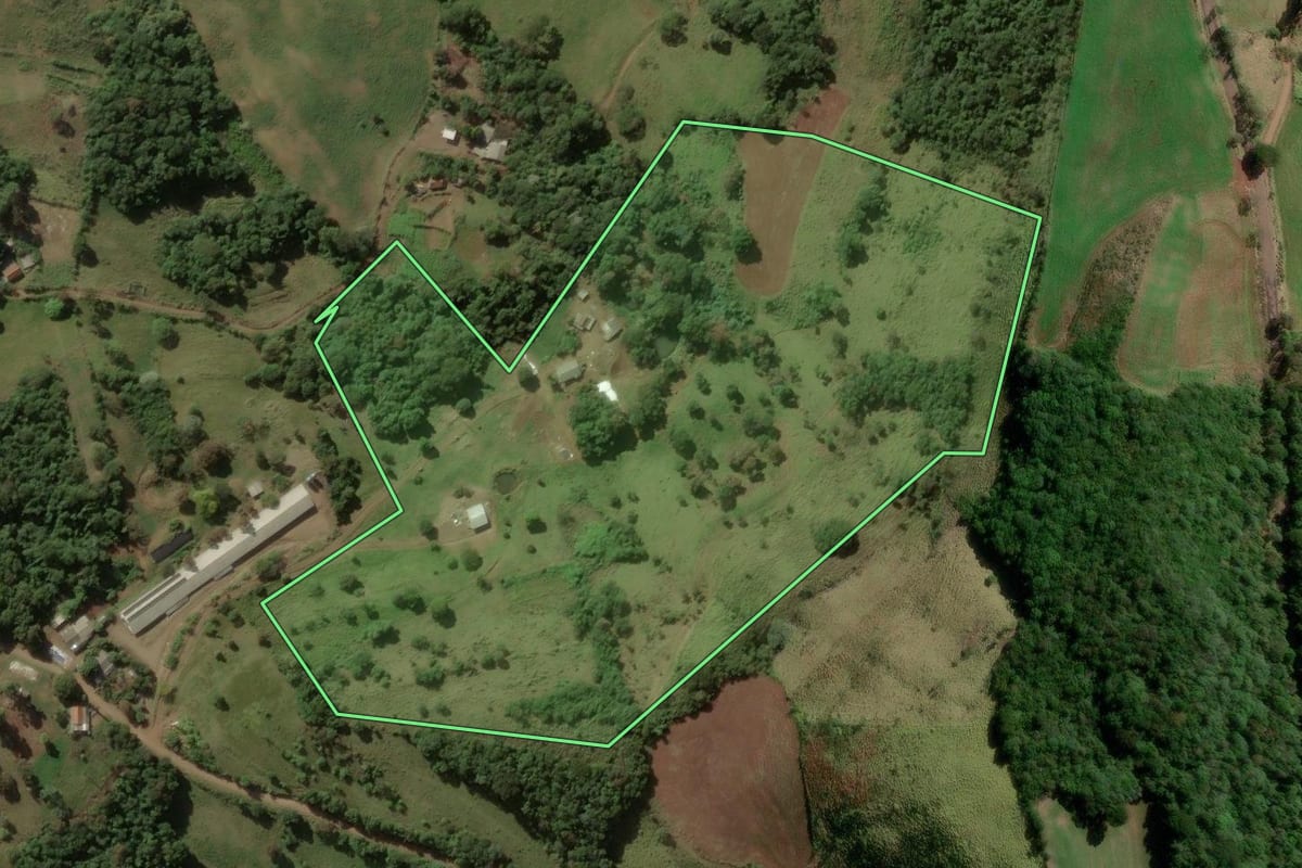 Imagem de satélite do imóvel rural em Salgado Filho (PR), com o contorno declarado no CAR desenhado por cima.