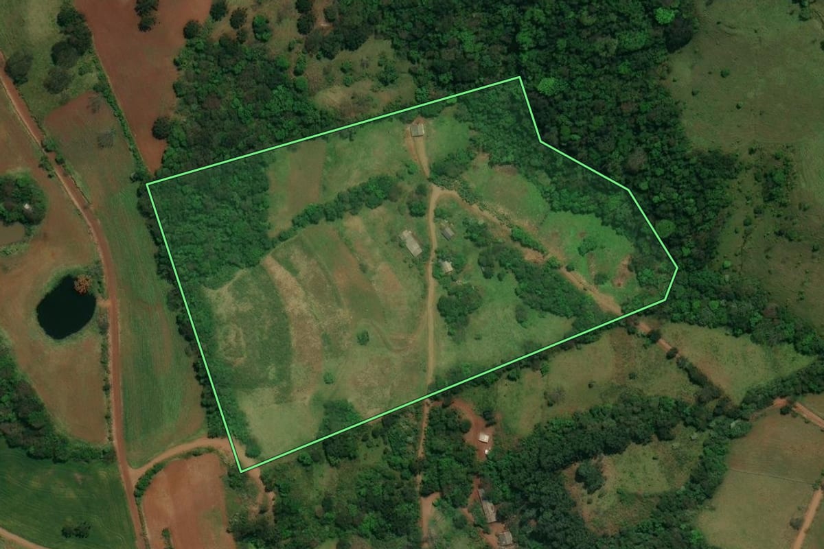 Imagem de satélite do imóvel rural em Salgado Filho (PR), com o contorno declarado no CAR desenhado por cima.