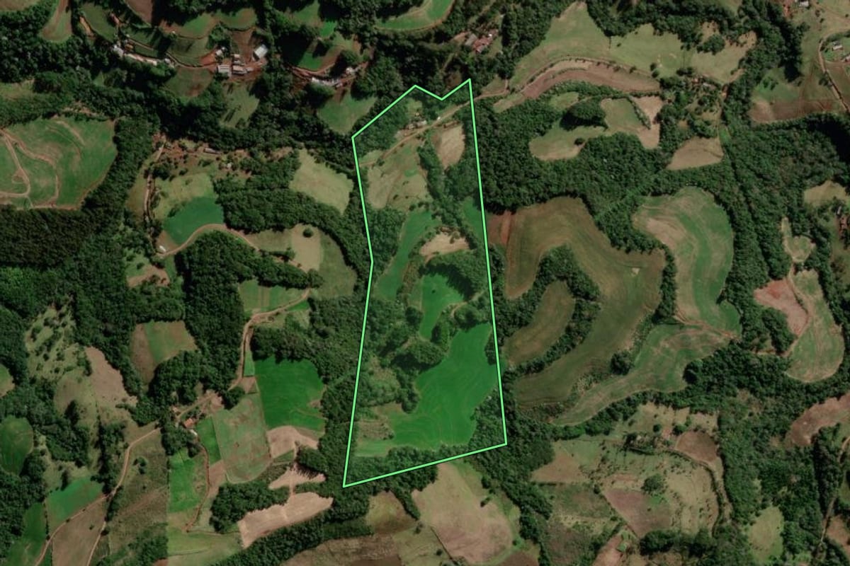 Imagem de satélite do imóvel rural em Salgado Filho (PR), com o contorno declarado no CAR desenhado por cima.