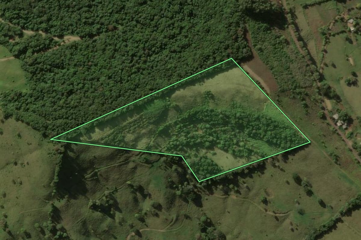 Imagem de satélite do imóvel rural em Salgado Filho (PR), com o contorno declarado no CAR desenhado por cima.