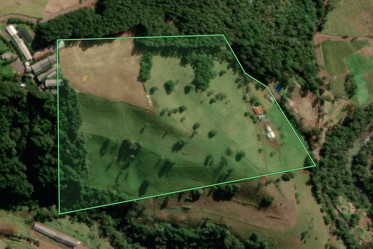 Imagem de satélite do imóvel rural em Salgado Filho (PR), com o contorno declarado no CAR desenhado por cima.