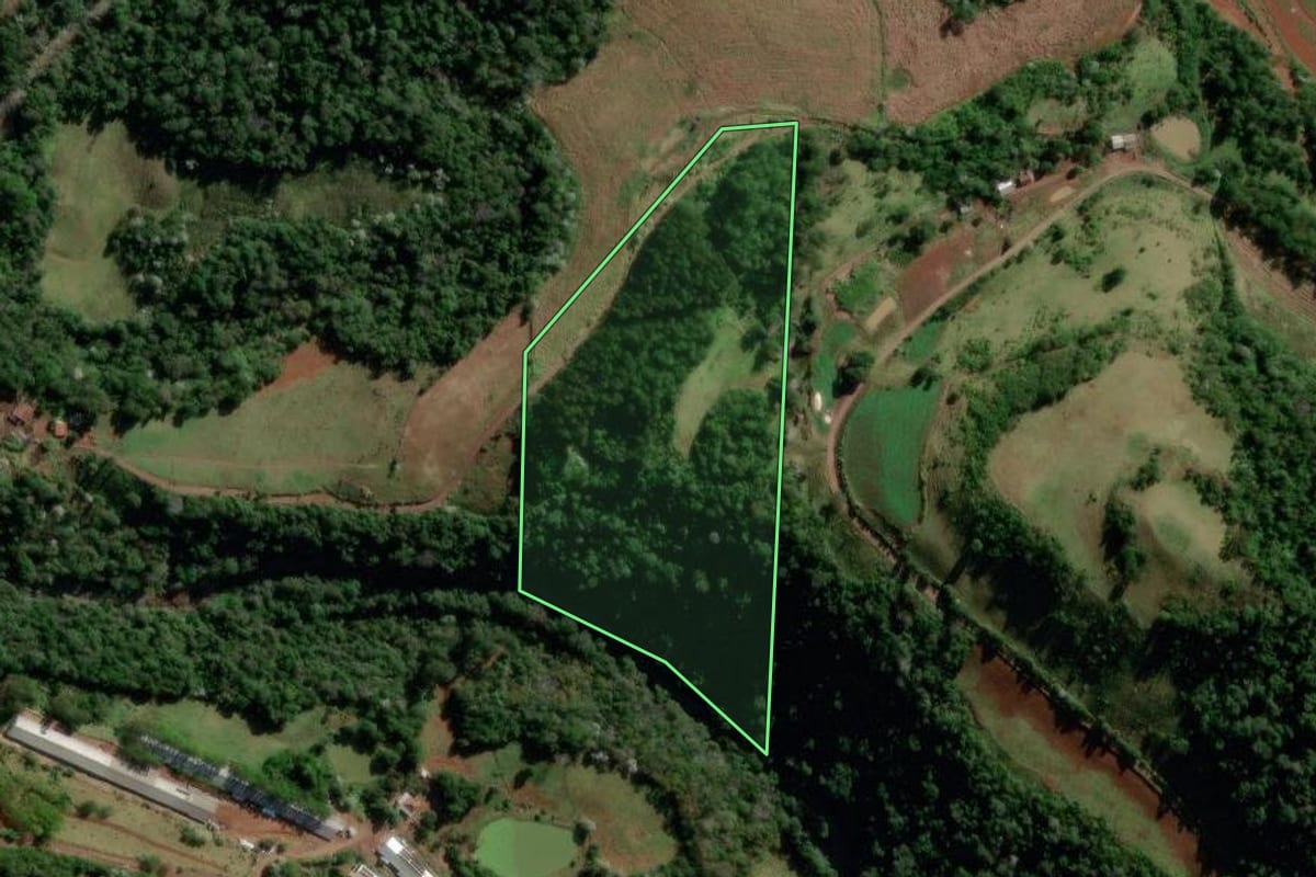 Imagem de satélite do imóvel rural em Salgado Filho (PR), com o contorno declarado no CAR desenhado por cima.