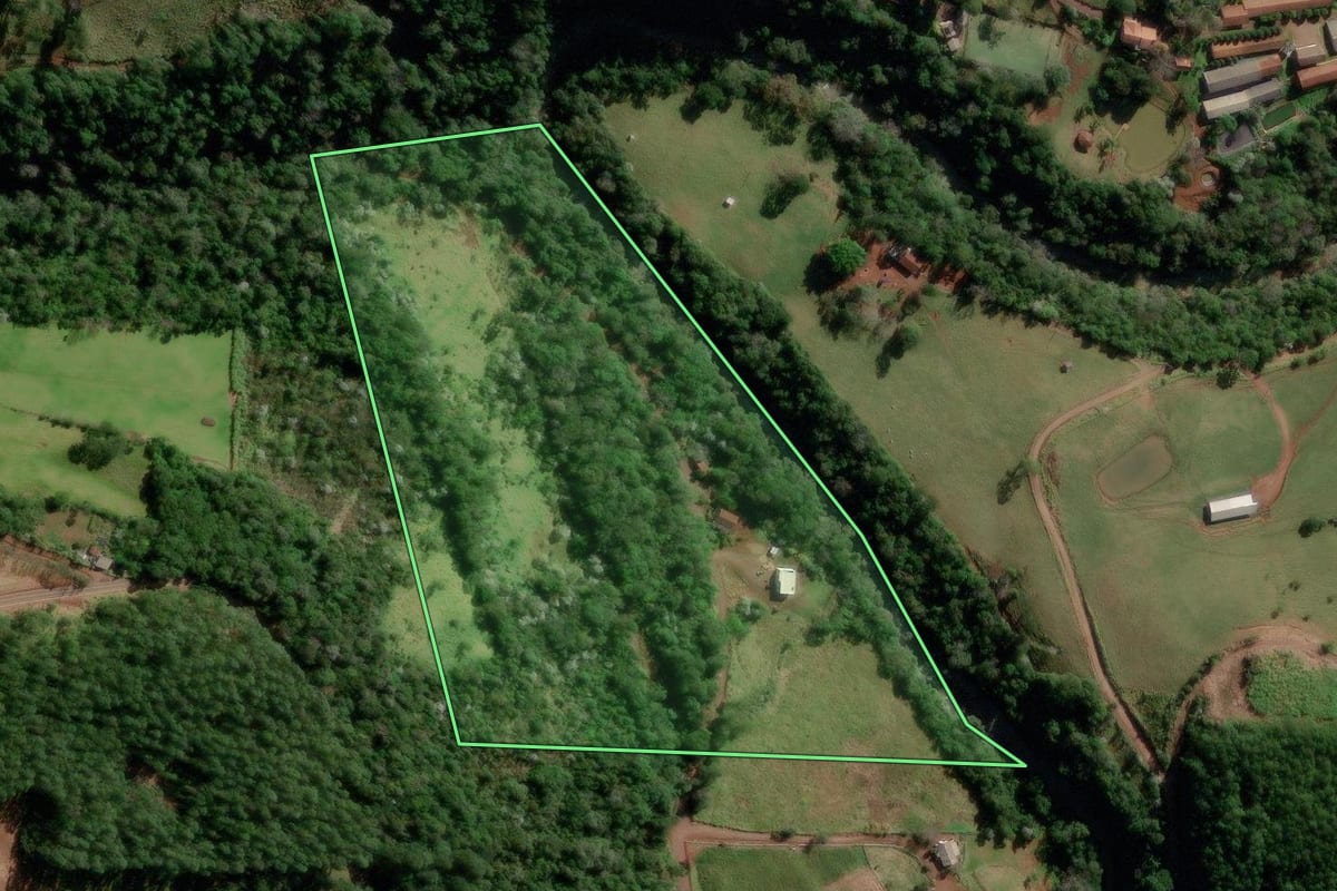 Imagem de satélite do imóvel rural em Salgado Filho (PR), com o contorno declarado no CAR desenhado por cima.