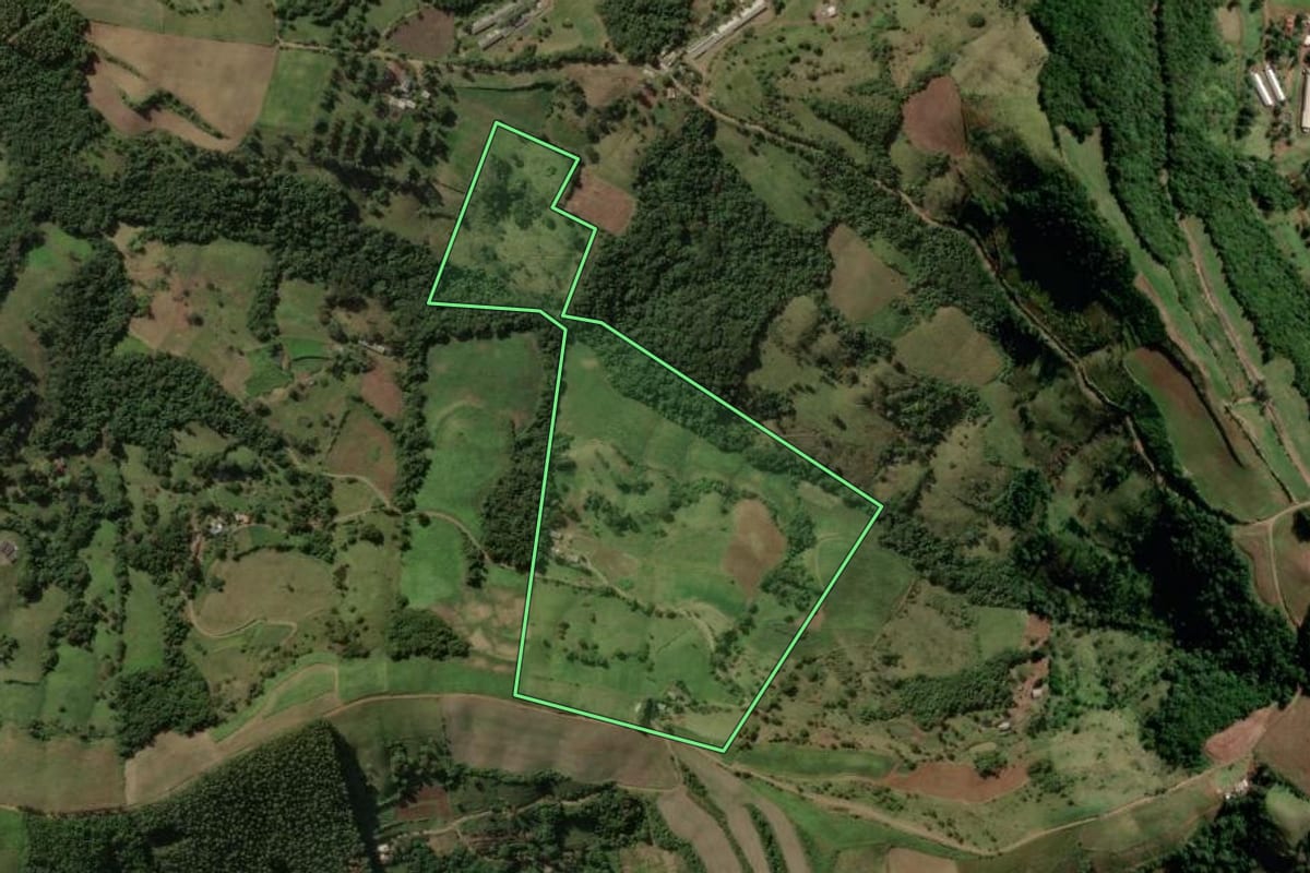 Imagem de satélite do imóvel rural em Salgado Filho (PR), com o contorno declarado no CAR desenhado por cima.