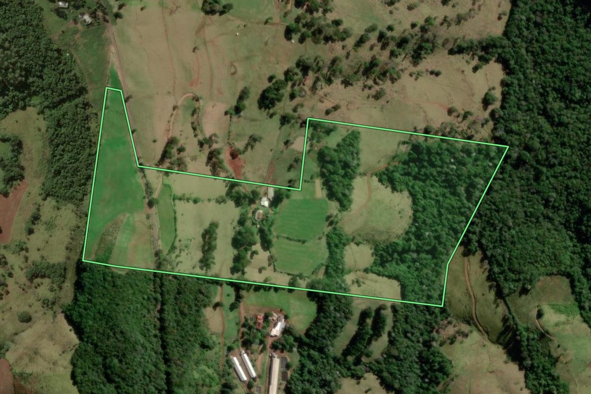 Imagem de satélite do imóvel rural em Salgado Filho (PR), com o contorno declarado no CAR desenhado por cima.