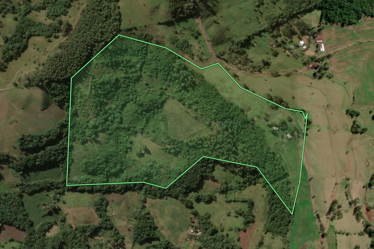 Imagem de satélite do imóvel rural em Salgado Filho (PR), com o contorno declarado no CAR desenhado por cima.