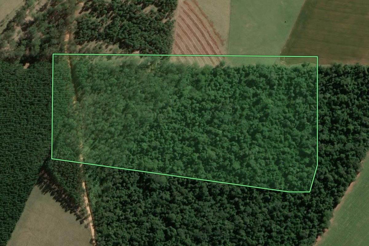 Imagem de satélite do imóvel rural em Salto do Itararé (PR), com o contorno declarado no CAR desenhado por cima.
