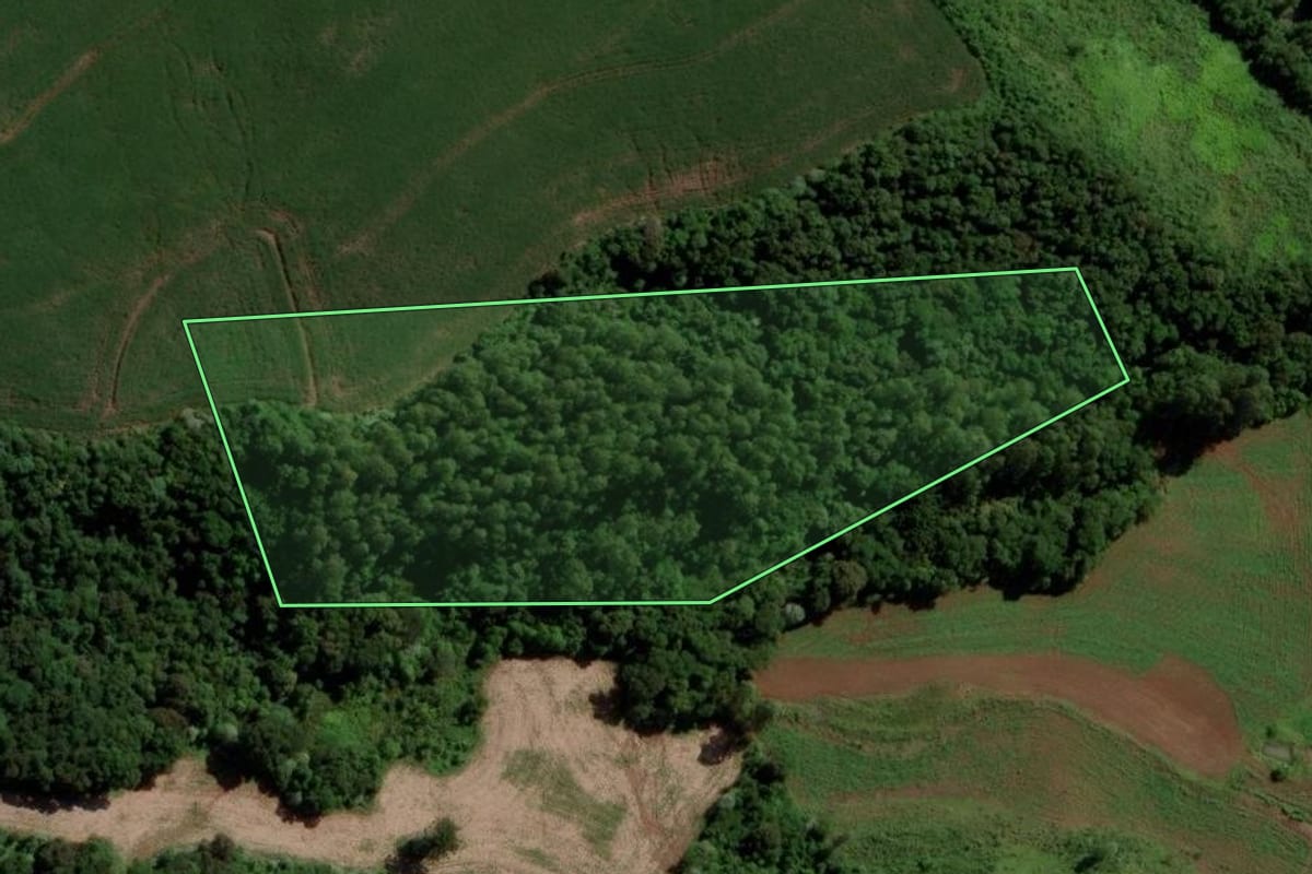 Imagem de satélite do imóvel rural em Salto do Lontra (PR), com o contorno declarado no CAR desenhado por cima.