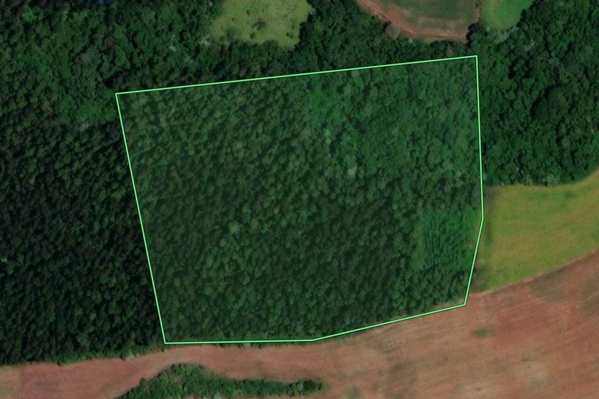 Imagem de satélite do imóvel rural em Salto do Lontra (PR), com o contorno declarado no CAR desenhado por cima.