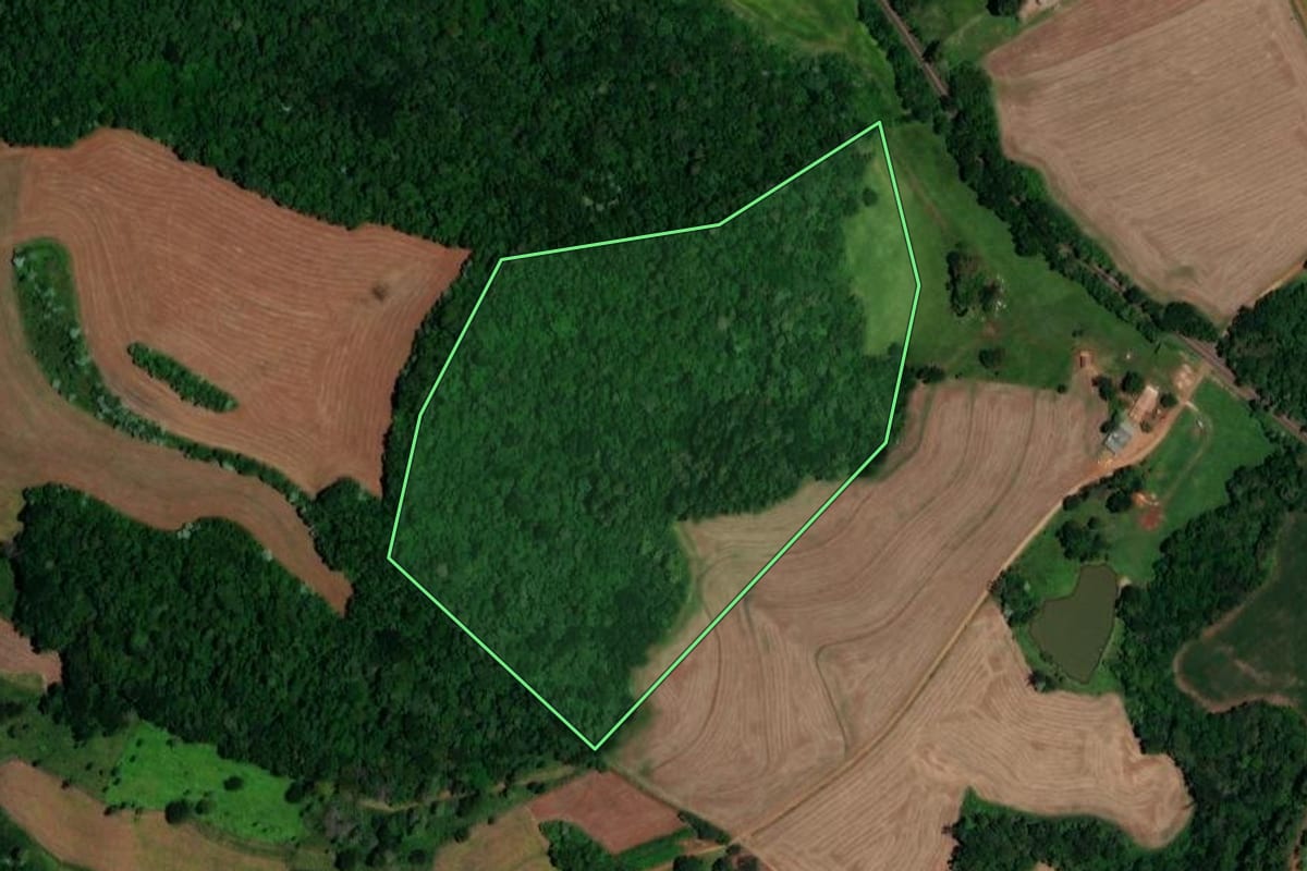 Imagem de satélite do imóvel rural em Salto do Lontra (PR), com o contorno declarado no CAR desenhado por cima.