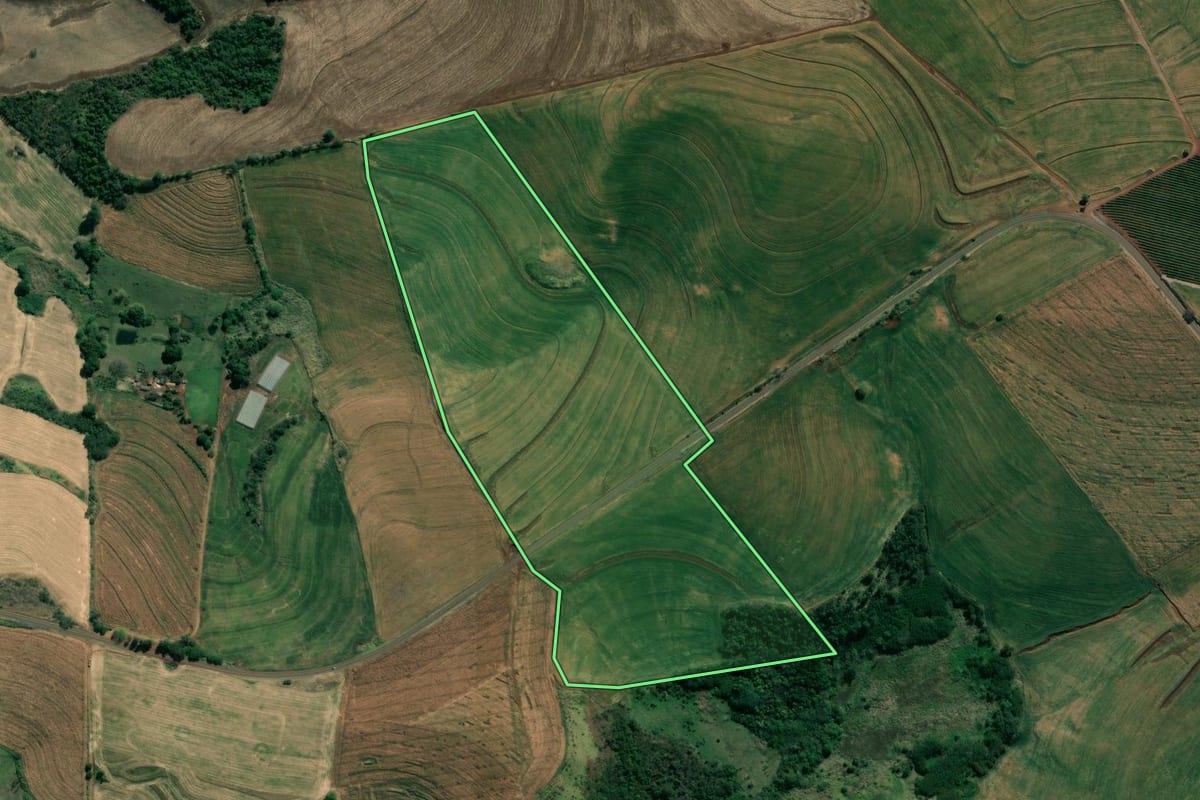 Imagem de satélite do imóvel rural em Santa Amélia (PR), com o contorno declarado no CAR desenhado por cima.