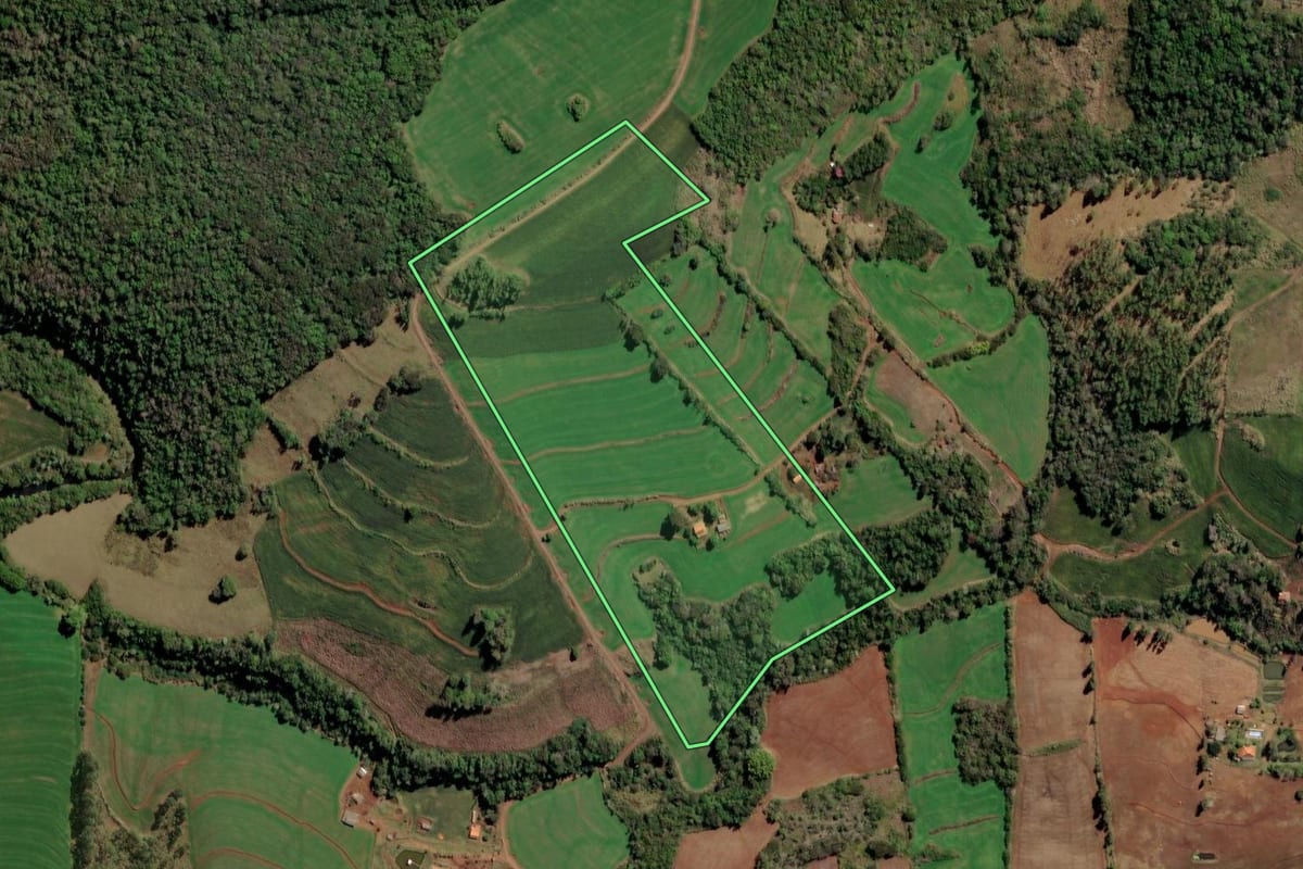 Imagem de satélite do imóvel rural em Santa Cecília do Pavão (PR), com o contorno declarado no CAR desenhado por cima.