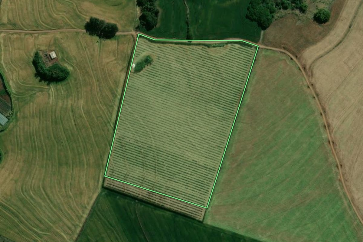Imagem de satélite do imóvel rural em Santa Cecília do Pavão (PR), com o contorno declarado no CAR desenhado por cima.
