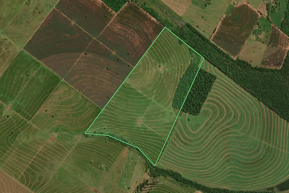 Imagem de satélite do imóvel rural em Santa Cruz de Monte Castelo (PR), com o contorno declarado no CAR desenhado por cima.