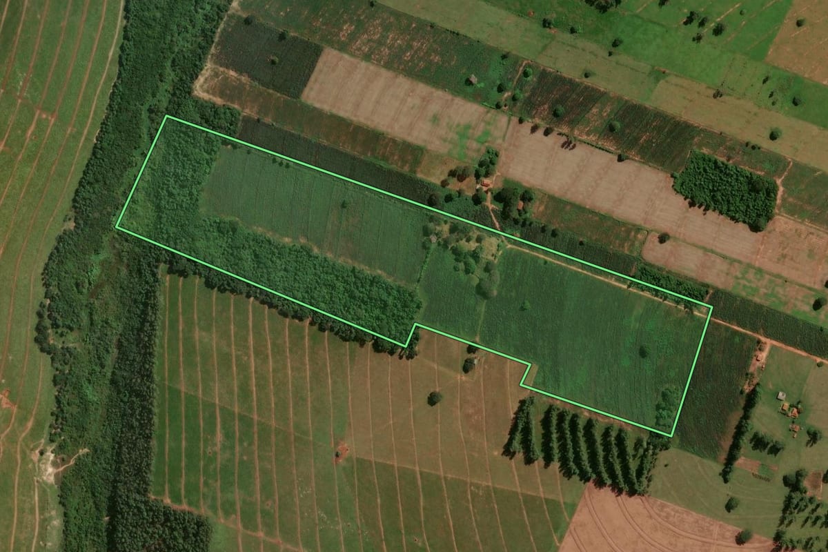 Imagem de satélite do imóvel rural em Santa Cruz de Monte Castelo (PR), com o contorno declarado no CAR desenhado por cima.