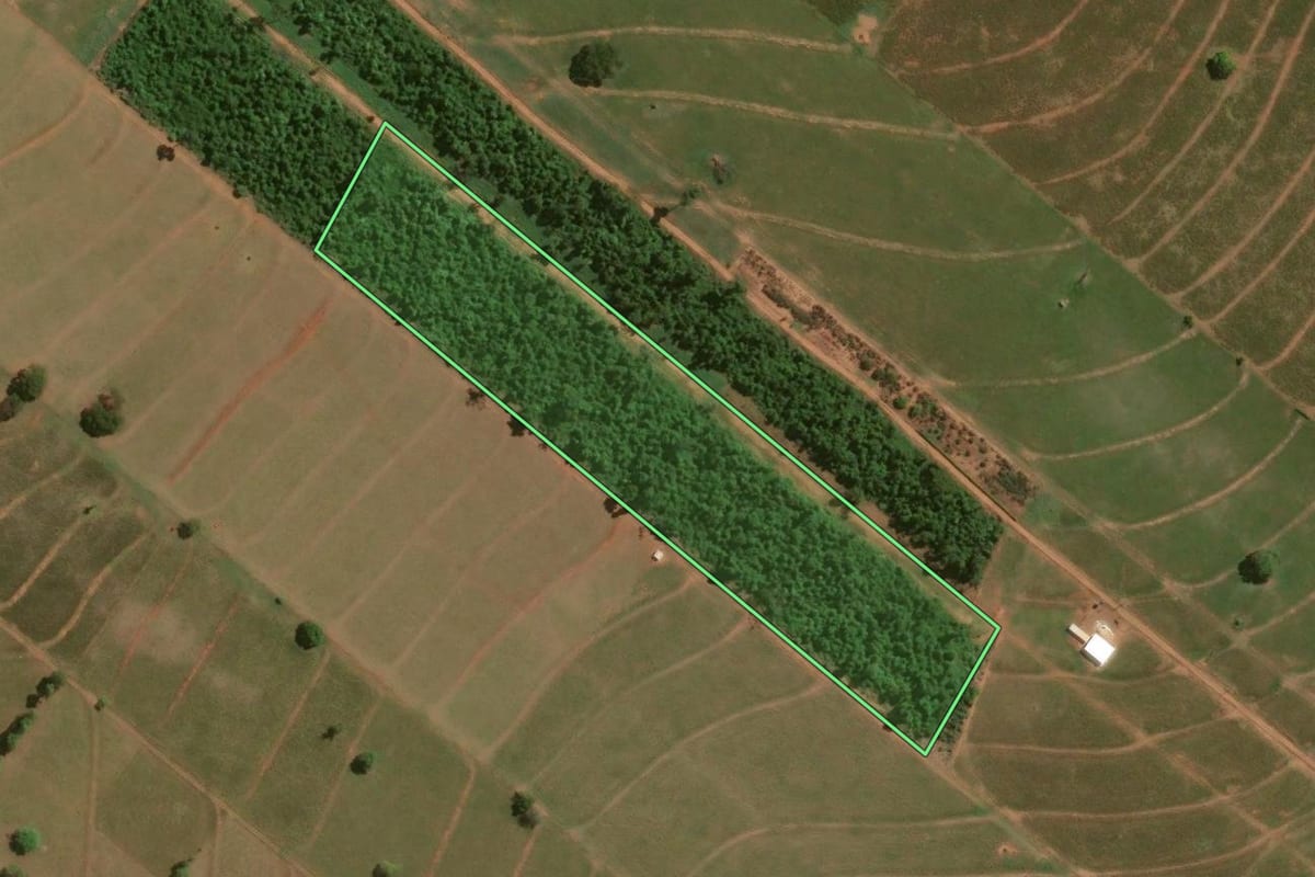 Imagem de satélite do imóvel rural em Santa Cruz de Monte Castelo (PR), com o contorno declarado no CAR desenhado por cima.