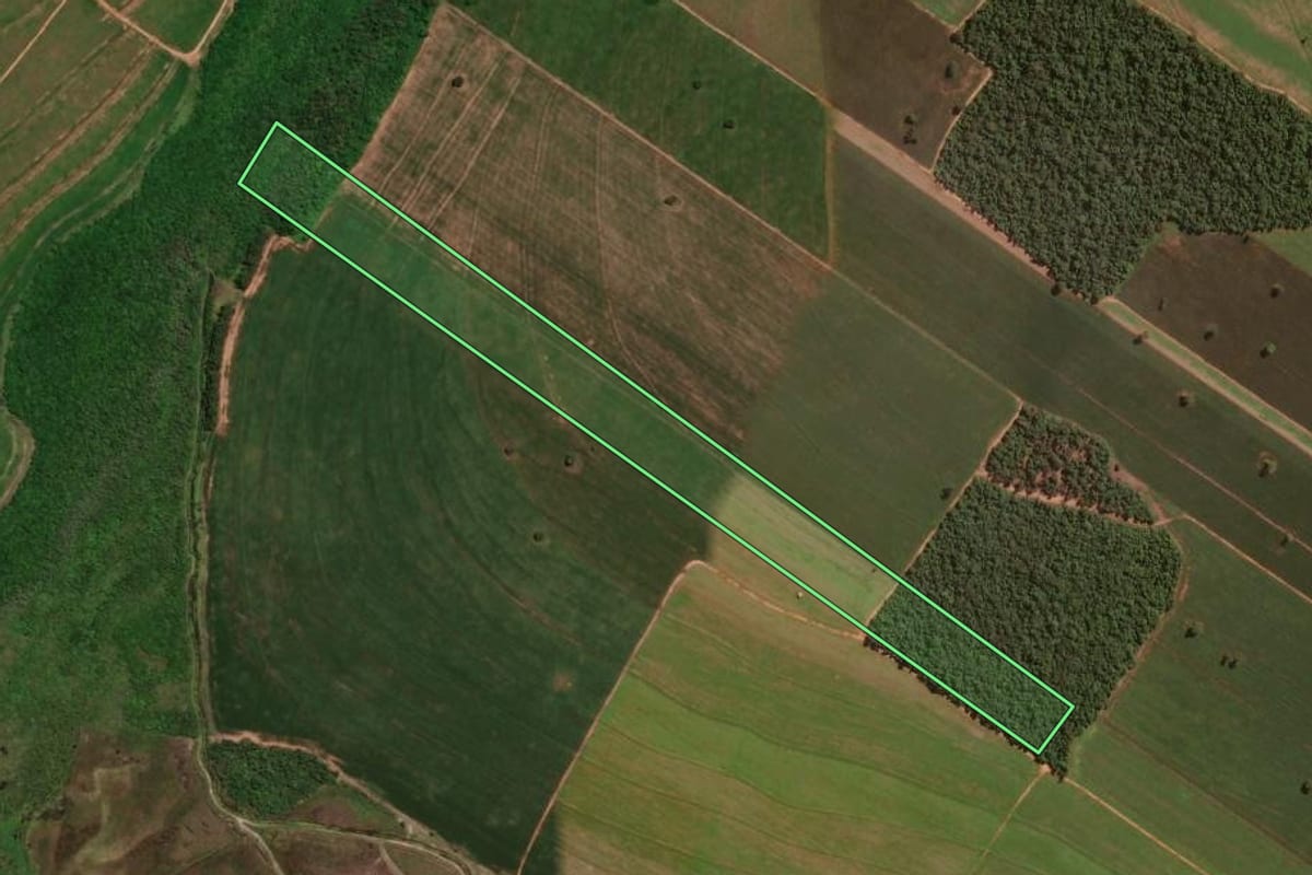 Imagem de satélite do imóvel rural em Santa Cruz de Monte Castelo (PR), com o contorno declarado no CAR desenhado por cima.