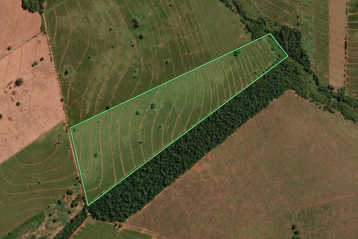 Imagem de satélite do imóvel rural em Santa Cruz de Monte Castelo (PR), com o contorno declarado no CAR desenhado por cima.