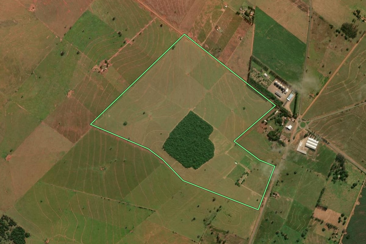 Imagem de satélite do imóvel rural em Santa Cruz de Monte Castelo (PR), com o contorno declarado no CAR desenhado por cima.