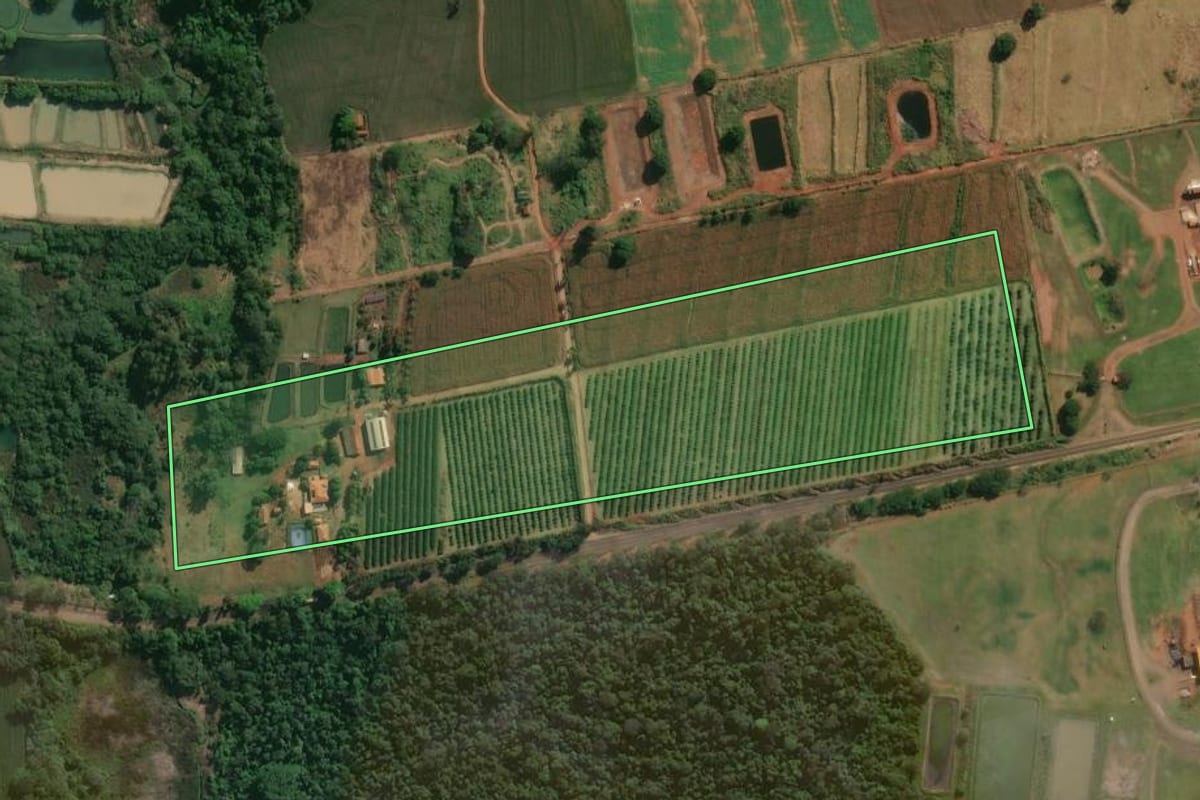 Imagem de satélite do imóvel rural em Santa Fé (PR), com o contorno declarado no CAR desenhado por cima.