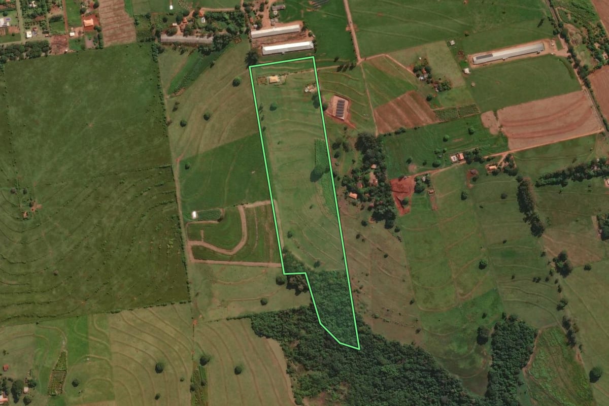 Imagem de satélite do imóvel rural em Santa Fé (PR), com o contorno declarado no CAR desenhado por cima.