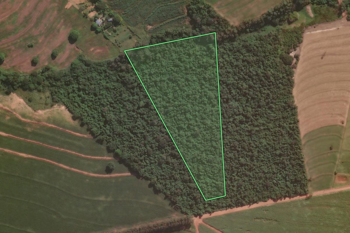 Imagem de satélite do imóvel rural em Santa Fé (PR), com o contorno declarado no CAR desenhado por cima.
