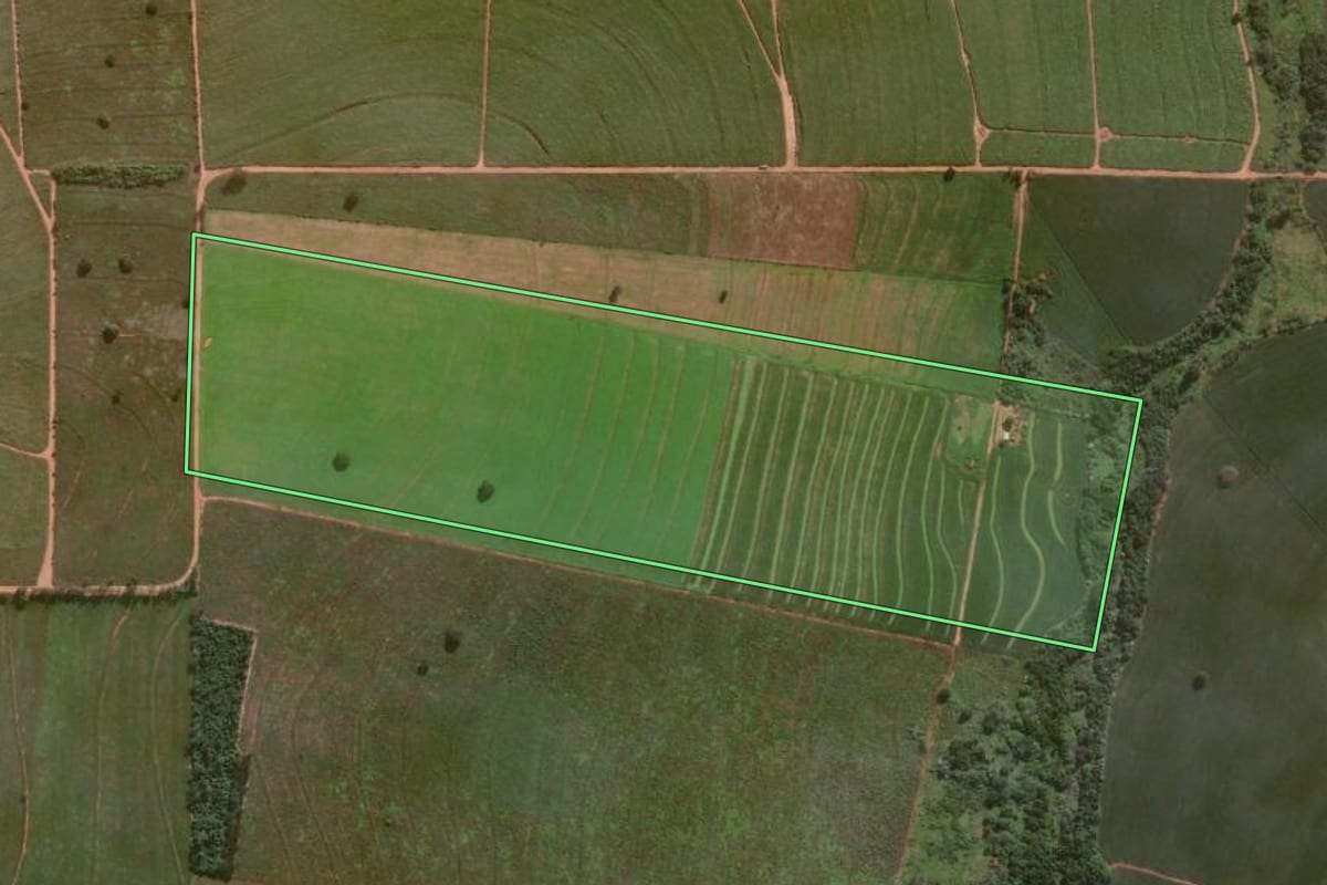 Imagem de satélite do imóvel rural em Santa Fé (PR), com o contorno declarado no CAR desenhado por cima.