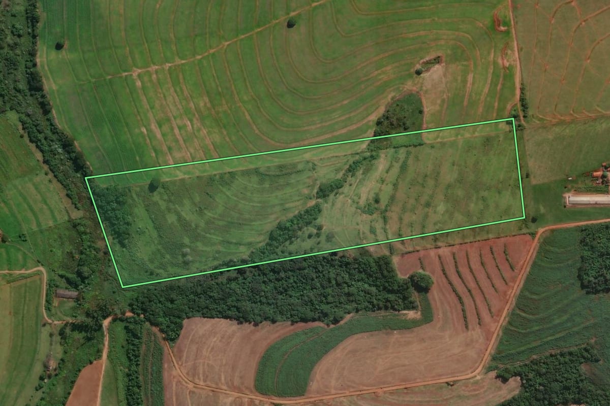 Imagem de satélite do imóvel rural em Santa Fé (PR), com o contorno declarado no CAR desenhado por cima.